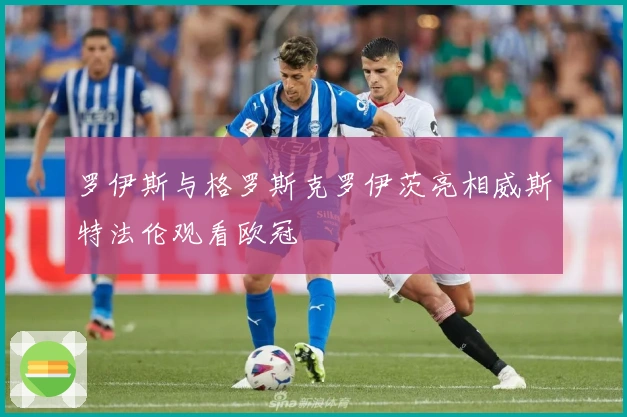 罗伊斯与格罗斯克罗伊茨亮相威斯特法伦观看欧冠