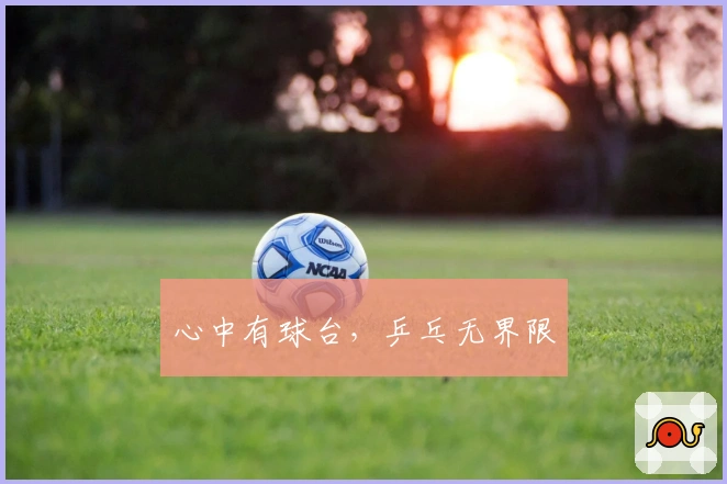 心中有球台，乒乓无界限